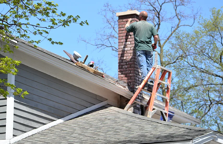 Chimney & Fireplace Inspections Services in Brushy Creek, TX